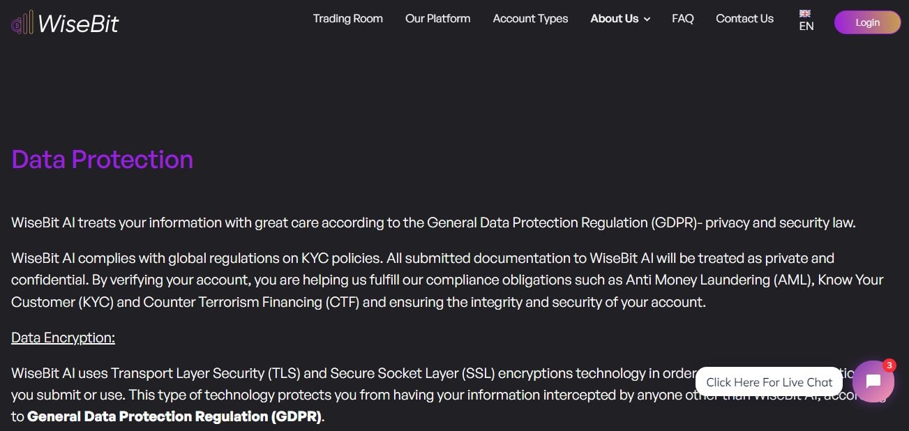 WiseBit.AI Security Measures WiseBit.AI Security Measures